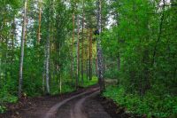 Лот: 11340475. Фото: 16. Кузнецово