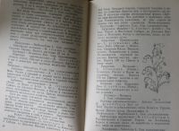 Лот: 25802191. Фото: 3. Декоративные теневыносливые растения... Литература, книги