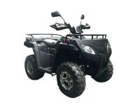 Лот: 25659144. Фото: 3. Квадроцикл RATO RT250ST Premium. Авто, мото, водный транспорт