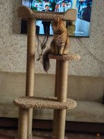 Лот: 20773180. Фото: 4. Когтеточка комплекс. Красноярск