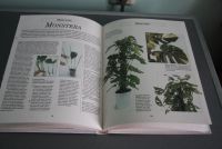 Лот: 21173064. Фото: 3. Книга Комнатные растения в интерьере... Литература, книги
