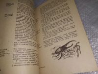Лот: 18956417. Фото: 6. Oz (4092322) Акимушкин И. И...