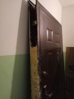 Лот: 12128981. Фото: 3. Дверь входная. Строительство и ремонт