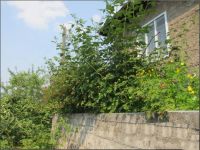 Лот: 13787788. Фото: 3. Продается дом 42 кв.м. 5 сот... Недвижимость