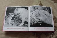 Лот: 2647462. Фото: 2. Книга фотоюмор Бредли Грив Простая... Литература, книги