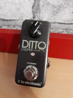 Лот: 19328218. Фото: 3. TC electronic ditto looper. Музыкальные инструменты и оборудование