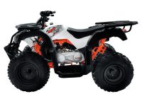 Лот: 25659224. Фото: 5. Квадроцикл KAYO AU150 CVT