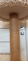Лот: 23966538. Фото: 2. Когтеточка большая тяжёлая в идеальном... Животные и уход