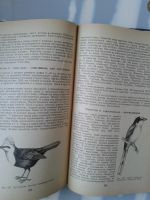 Лот: 15775882. Фото: 5. Систематика птиц. Карташев Н.Н...