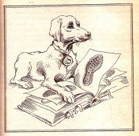 Лот: 15403616. Фото: 4. Старикович Станислав - Зверинец... Красноярск