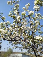 Лот: 15848524. Фото: 14. изготовление мебели встроенная...