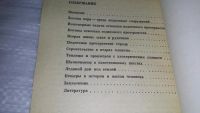 Лот: 9162730. Фото: 3. Швецов И.Ф., Зильберборд А.Ф... Литература, книги