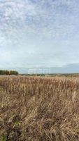Лот: 19443820. Фото: 9. участок , село Потапово село Потапово...