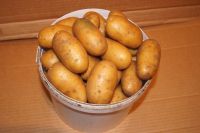 Лот: 15957325. Фото: 2. Купить посадочный картофель. Продукты