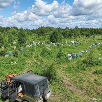 Лот: 16671514. Фото: 5. Подтаёжный мёд, 1420 грамм, пасека...