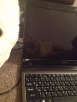 Лот: 5958512. Фото: 3. Продам или обменяю хороший ноутбук. Компьютеры, оргтехника, канцтовары