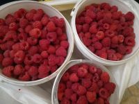 Лот: 7843689. Фото: 3. Малина свежая, с куста. Урожай... Красноярск