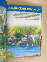 Лот: 21376523. Фото: 4. Первая энциклопедия дошкольника... Красноярск