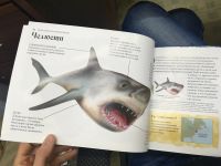 Лот: 14993244. Фото: 3. Энциклопедия монстров. "Звездные... Литература, книги