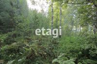 Лот: 25290660. Фото: 13. 2-комн. дом , садоводческое некоммерческое...