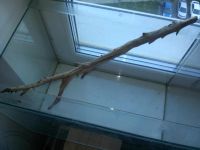 Лот: 6031190. Фото: 4. аквариум 40 литров. Красноярск