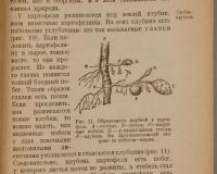 Лот: 15173877. Фото: 7. учебник ботаники 1922 год издания...