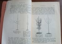 Лот: 25359478. Фото: 12. Хутор.Практический сельско-хозяйственный...