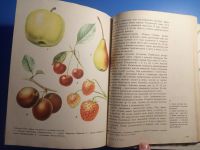 Лот: 18771640. Фото: 4. Трудовое обучение 5-7 Сельскохозяйственные... Красноярск