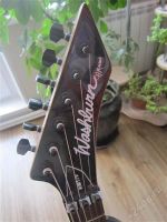 Лот: 2434098. Фото: 2. washburn wm17v. Музыкальные инструменты