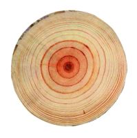 Лот: 10920105. Фото: 2. Подушка "Спил дерева". Домашний текстиль