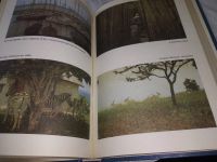 Лот: 18601105. Фото: 12. (2092317)Папазова Юлия, Папазов...