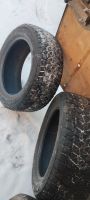 Лот: 24895635. Фото: 3. Bridgestone Blizzak DM-V2 255... Авто, мото, водный транспорт