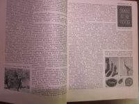 Лот: 20049117. Фото: 3. Искусство стран и народов мира... Литература, книги