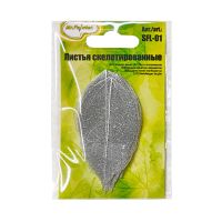 Лот: 25012986. Фото: 3. Листья скелетированные "Mr.Painter... Красноярск