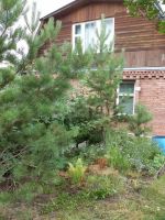 Лот: 25789440. Фото: 6. 4-комн. дача , садоводческое некоммерческое...