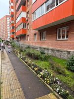 Лот: 25408459. Фото: 11. 1-комн. квартира , Красноярск...