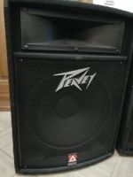 Лот: 16862093. Фото: 3. Колонки Peavey TLS-5. Музыкальные инструменты и оборудование