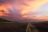 Лот: 3093058. Фото: 5. Nikon 35mm f/1.4G AF-S Nikkor