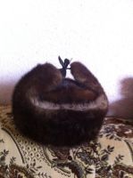 Лот: 4566737. Фото: 5. Ушанка. Норка.