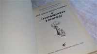 Лот: 8067785. Фото: 2. Людмила Злобина, Луиза Ковенько... Детям и родителям