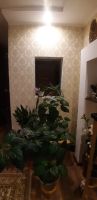 Лот: 18422419. Фото: 4. Квартира. Красноярск