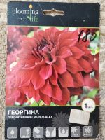 Лот: 25256540. Фото: 5. Георгин клубни сортовые