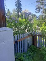 Лот: 25709356. Фото: 14. 2-комн. дача , садоводческое некоммерческое...