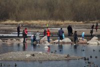 Лот: 5347126. Фото: 7. Canon EF 90-300mm f/4.5-5.6 USM