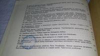 Лот: 5946350. Фото: 12. Криминалистика сегодня, Юрген...