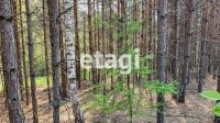 Лот: 25295120. Фото: 3. участок , посёлок городского типа... Недвижимость