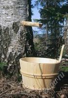 Лот: 2726653. Фото: 2. Берёзовый сок ( с доставкой ). Продукты