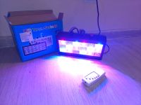 Лот: 25635486. Фото: 2. Светодиодный стробоскоп LED Room... Освещение