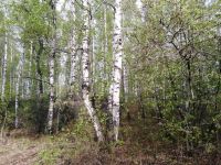 Лот: 14385102. Фото: 6. Дом Красноярск