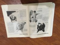 Лот: 25190851. Фото: 3. Учимся рисовать. Литература, книги